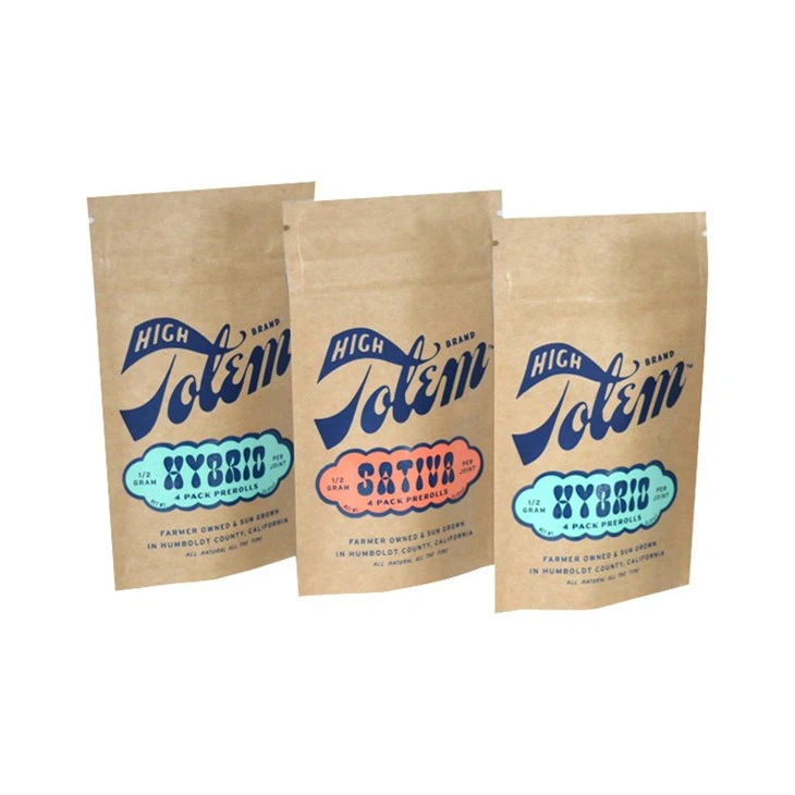 Brown Craft Paper Kraft Stand Up Pouch suppliers